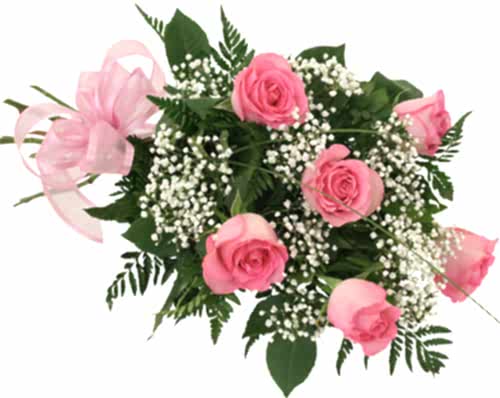 HARİKA PEMBEGÜL DEMETİ